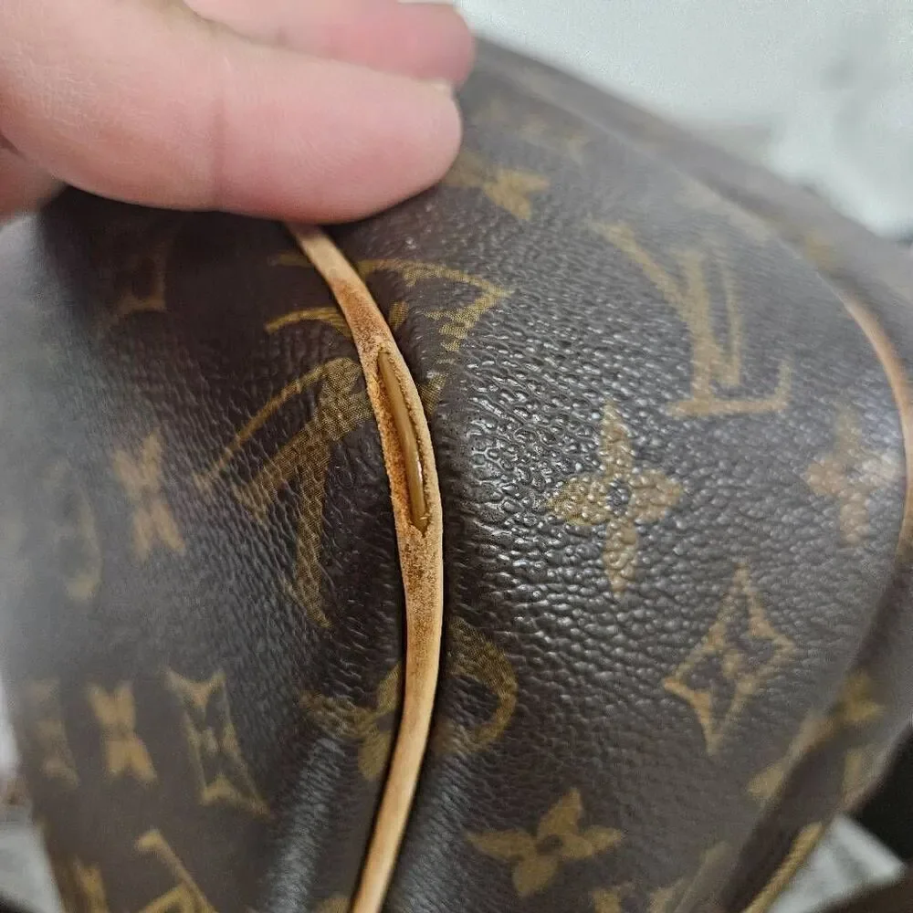 Louis Vuitton reporter crossbody bag